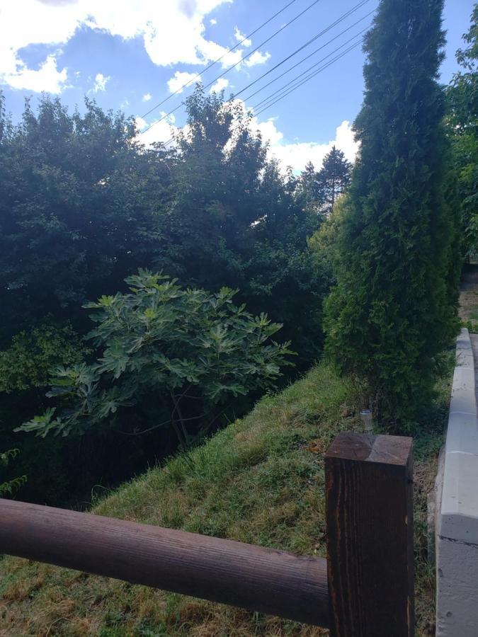 Vila Slankamenka Stari Slankamen Exteriér fotografie